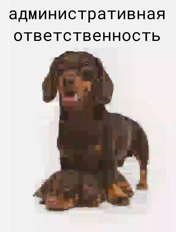 VkhZ3uKtagRjK54MxEiNSxGMvzT3PA1nxMXG5Ka8.jpg