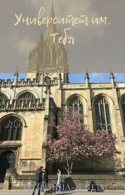 Университет им. Тебя