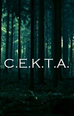 С.Е.К.Т.А.