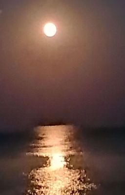 Яс - Гениальный, наверно бессмертный детектив