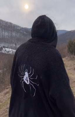 🕷мой маленький паук🕷