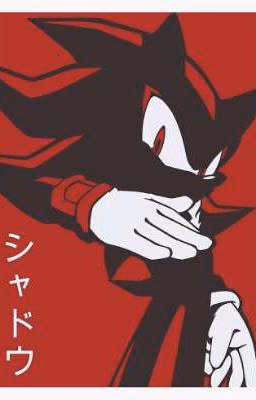 Reaction Sonic to Y/n