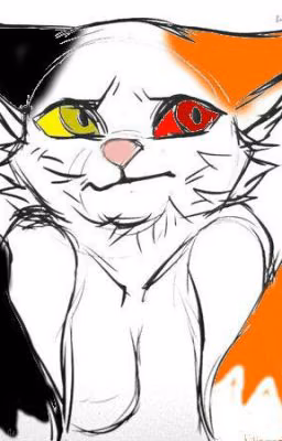 ~ Коты Воители~