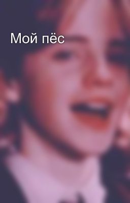Мой пёс