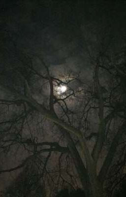 Старая заправка. 