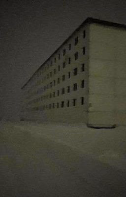 The most cold winter