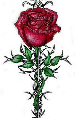 Всё началось с желания. А закончилось...