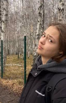 Легавая