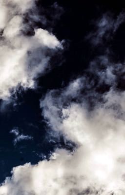 Без заглавия