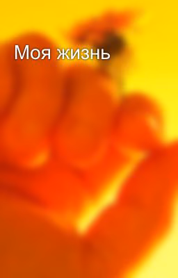 Моя жизнь