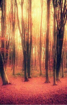 И.Бунин "Хорошая жизнь"