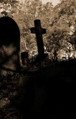 Жизнь автора  держится на одном человек 