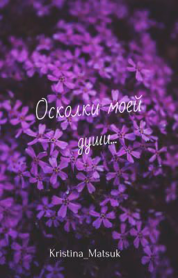 Осколки моей души