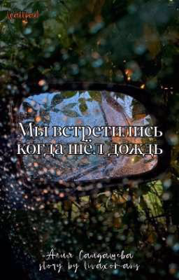 Мы встретились когда шёл дождь