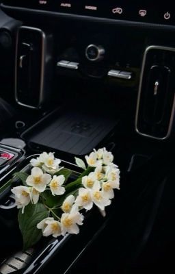 Жасминовый сад