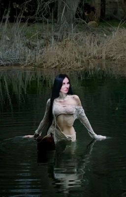 отражение забытого ангела