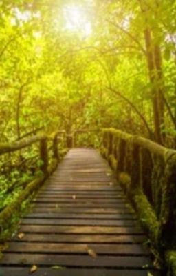 школа стихий