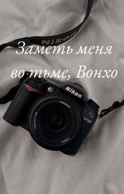Заметь меня во тьме, Вонхо[ЗАВЕРШЕНО]