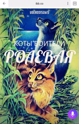 коты воители ролевая