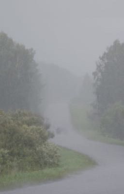 Добро пожаловать в реальную жизнь