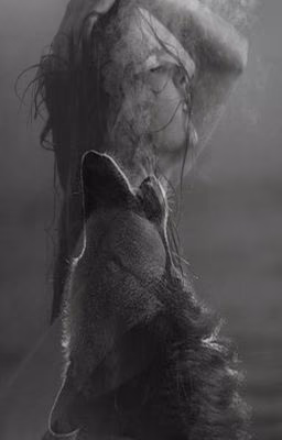 ▫Instinct▫