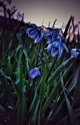 В поисках света во тьме.