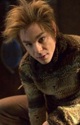 Новая жизнь домовёнка