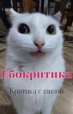 Ебокритика
