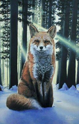 Моя жизнь с "Детьми Ночи" и "Антигероями"