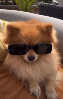 Нянька для грозного волка (ЗАВЕРШЕНО)