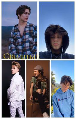 Сводные