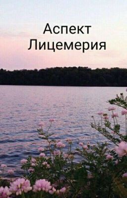 Аспект лицемерия