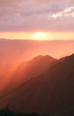 Слезы заката