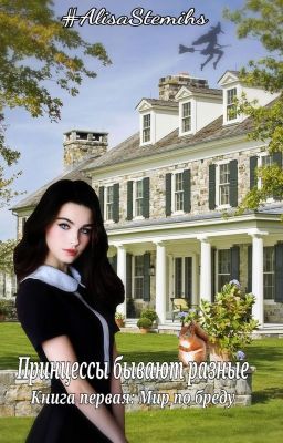 Принцессы бывают разные. Книга первая: Мир по бреду.