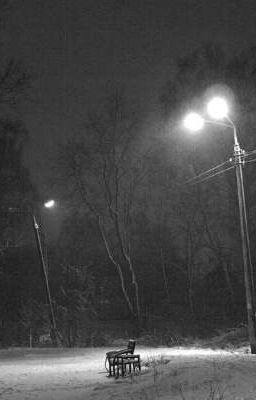 Тайна тихого леса