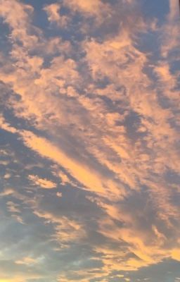 Звезда университета и серая мышка..