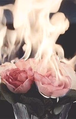 Села́м, или Язы́к цвето́в