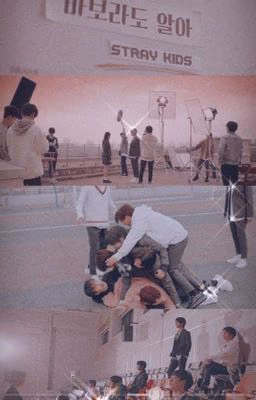 Реакции Stray Kids