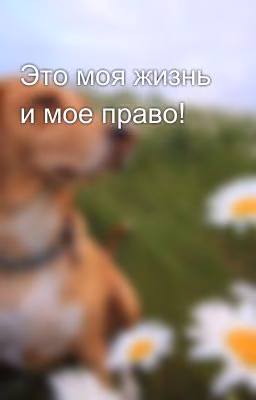 Это моя жизнь и мое право!