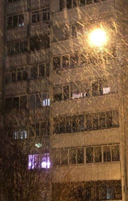 Мерзлота среди чувств 