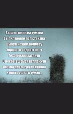 мемы
