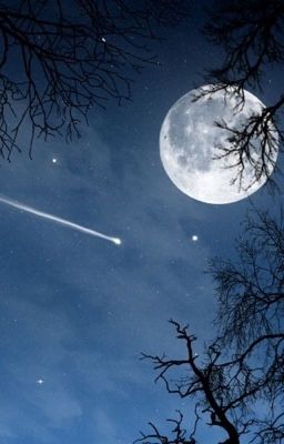 Сказка про кота и Луну