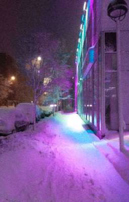 carefree winter | kyousuke , tN1R , m0NESY , zont1x