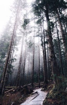 Гончаров.Обломов.