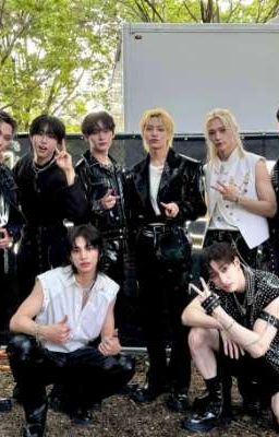 осколки чувств (Stray kids) Заморожен