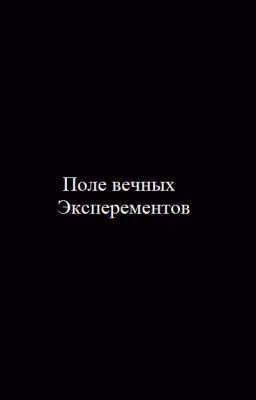Поле Вечных Экспериментов
