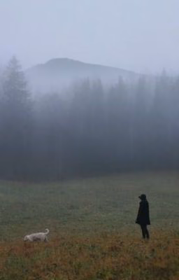 Бесценность души