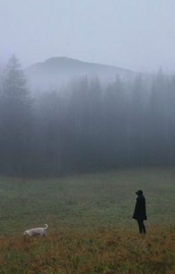 Бесценность души