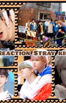 Реакции Stray Kids [Закончено]