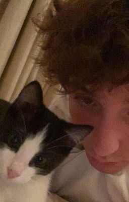 я тебе (не) верю // данонфлекс